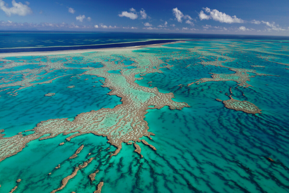 GSL Aviation Great Barrier Reef Helicopter Scenic Flight