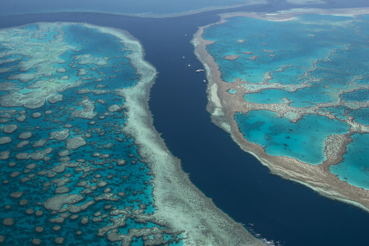 GSL Aviation Reef & Island scenic flight