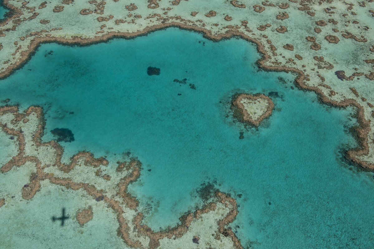 GSL Aviation Reef & Island scenic flight