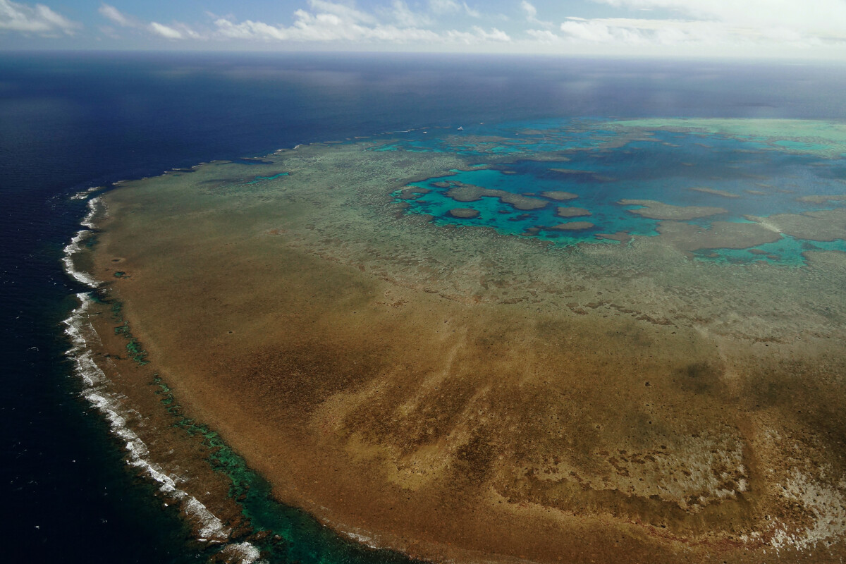 GSL Aviation Reef & Island scenic flight