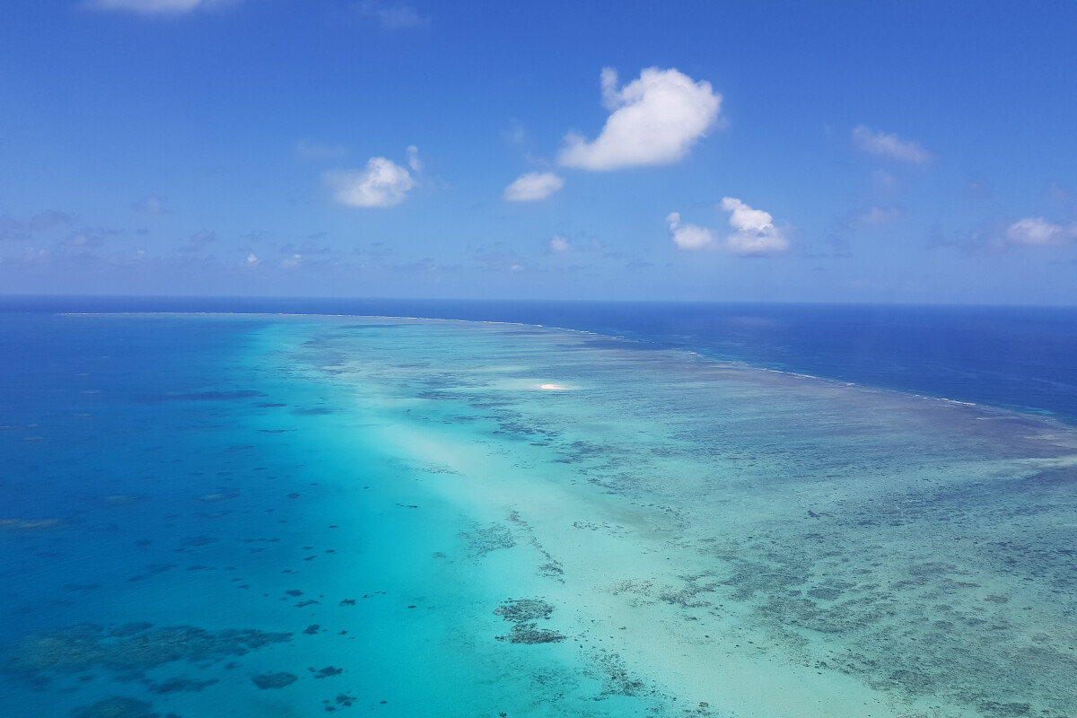 GSL Aviation Reef & Rainforest Package Tour