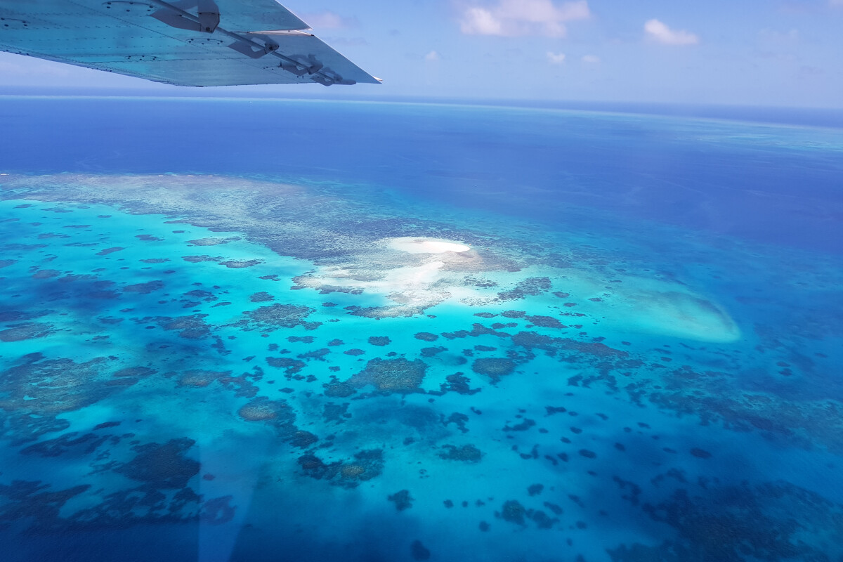 GSL Aviation Reef & Rainforest Package Tour