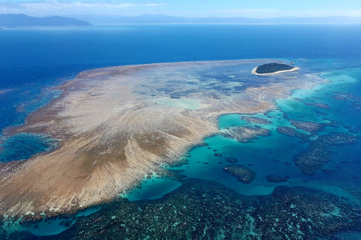 GSL Aviation Reef & Rainforest Package Tour